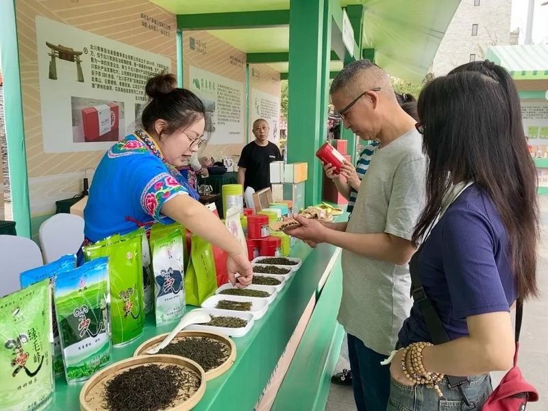 关于以茶会友 浙川茶界专家齐聚北川共同打造“茶业盛宴”的新闻(2)