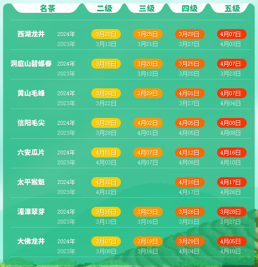 关于2024春茶季，安溪铁观音于近日开采的相关信息(2)