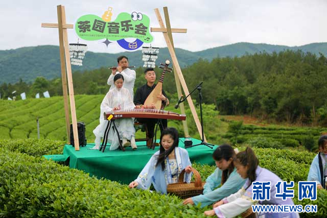 关于湖北当阳举办第四届仙人掌茶文化节的内容