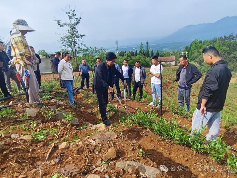 关于人勤春更早 茶园春管忙——刘仁八镇开展茶苗管护技术培训的相关信息(1)