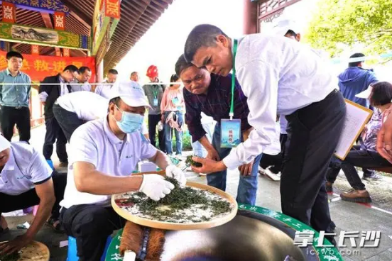 有关于乡村工匠竞技巧手制香茗，宁乡沩山茶旅文化节手工制茶大赛引赞叹声一片的相关信息(3)