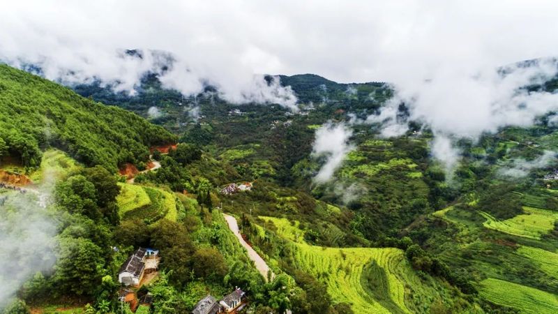 有关于景东：高质量推进茶产业发展的内容