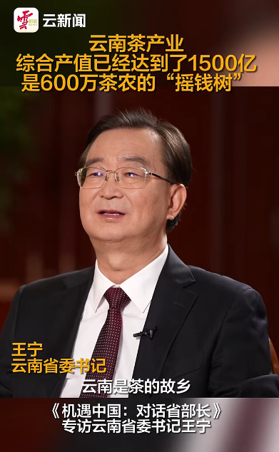 有关于2024年4月茶行业资讯汇总的新闻