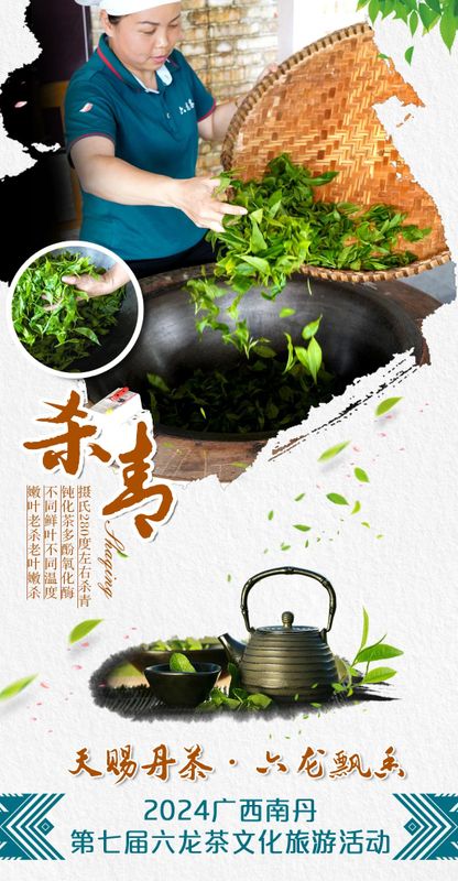 关于拥有800年种茶历史 ，南丹六龙茶山等你来打卡 的消息(5)