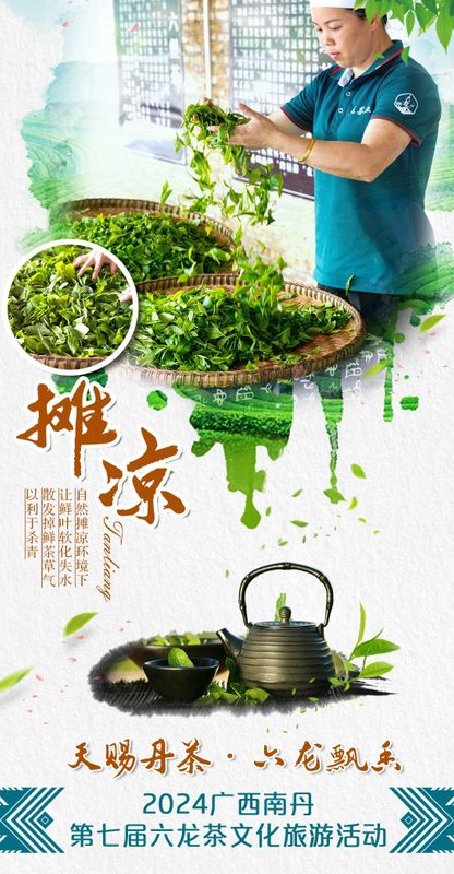 关于拥有800年种茶历史 ，南丹六龙茶山等你来打卡 的消息(4)