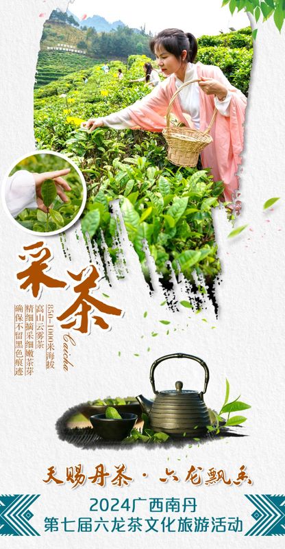 关于拥有800年种茶历史 ，南丹六龙茶山等你来打卡 的消息(3)