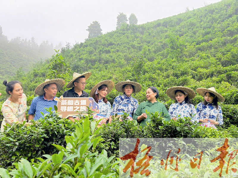 关于马来西亚马六甲历史城区(鸡场街)工委一行来梧考察交流的消息(4)