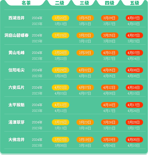 有关于2024春茶季，武夷岩茶黄观音品种开采的信息(1)