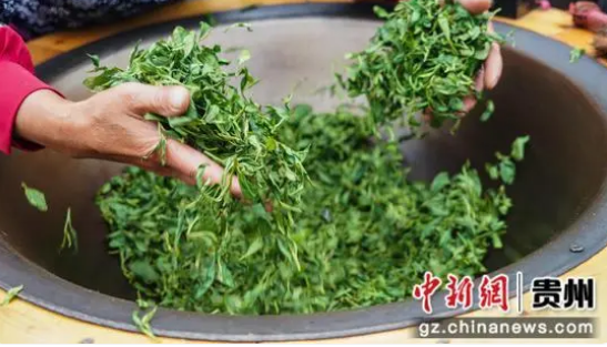 关于沿河：手工制好茶 春日茶飘香的消息(3)