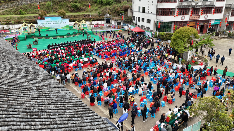 有关于石阡举办“首届谷雨苔茶文化”暨“健康大本营·银龄助茶旅”活动的新闻