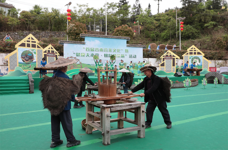 有关于石阡举办“首届谷雨苔茶文化”暨“健康大本营·银龄助茶旅”活动的新闻(8)