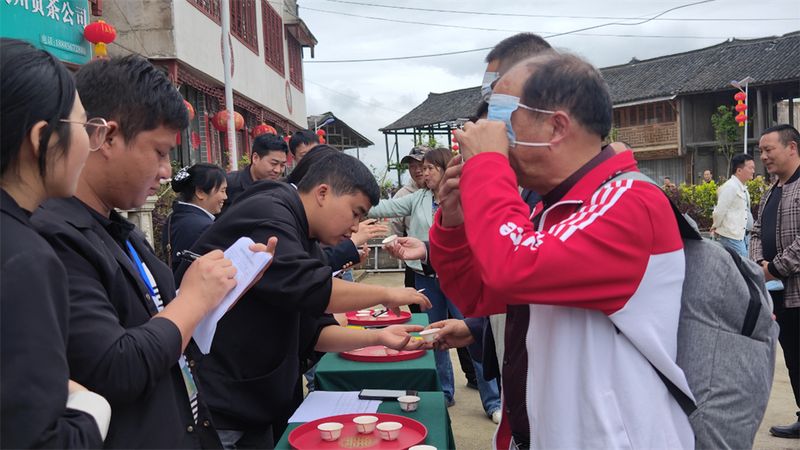 有关于石阡举办“首届谷雨苔茶文化”暨“健康大本营·银龄助茶旅”活动的新闻(1)