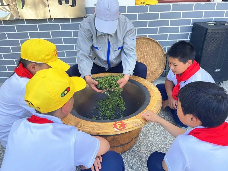 有关于白河县茅坪镇：茶旅融合让田湾村焕发新活力的最新消息(2)