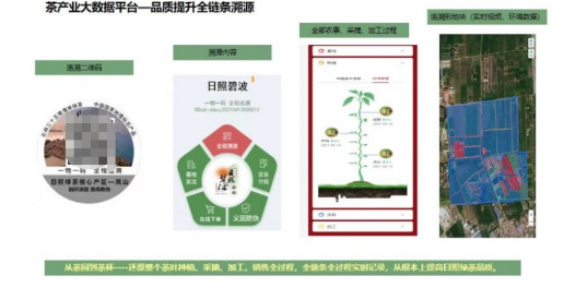 有关于山东移动精制茶“产业大脑”推进茶产业全域全程数字化的内容(2)