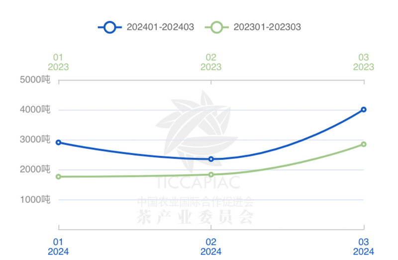 有关于2024年3月中国茶叶进出口数据的相关内容(13)