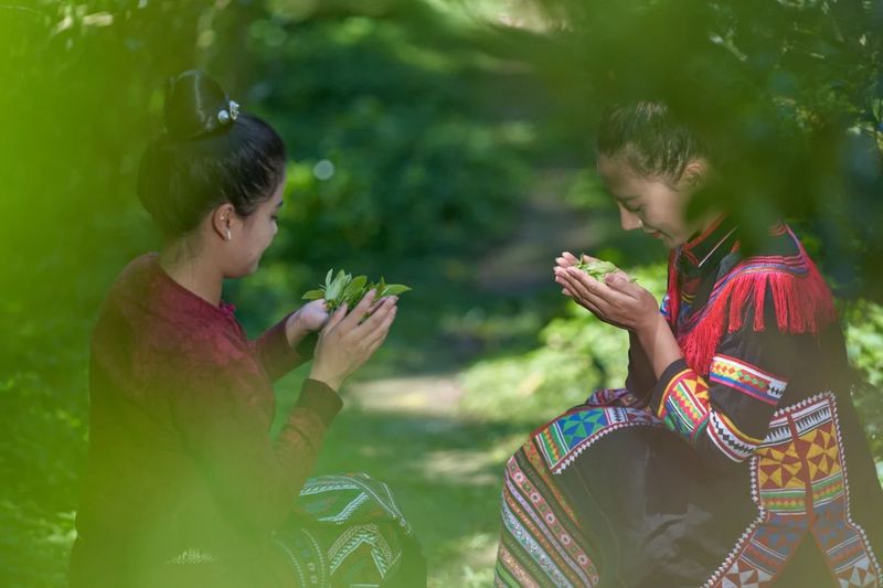 关于中国茶走向世界，黑蜂村亮相纽约时代广场的相关信息(7)